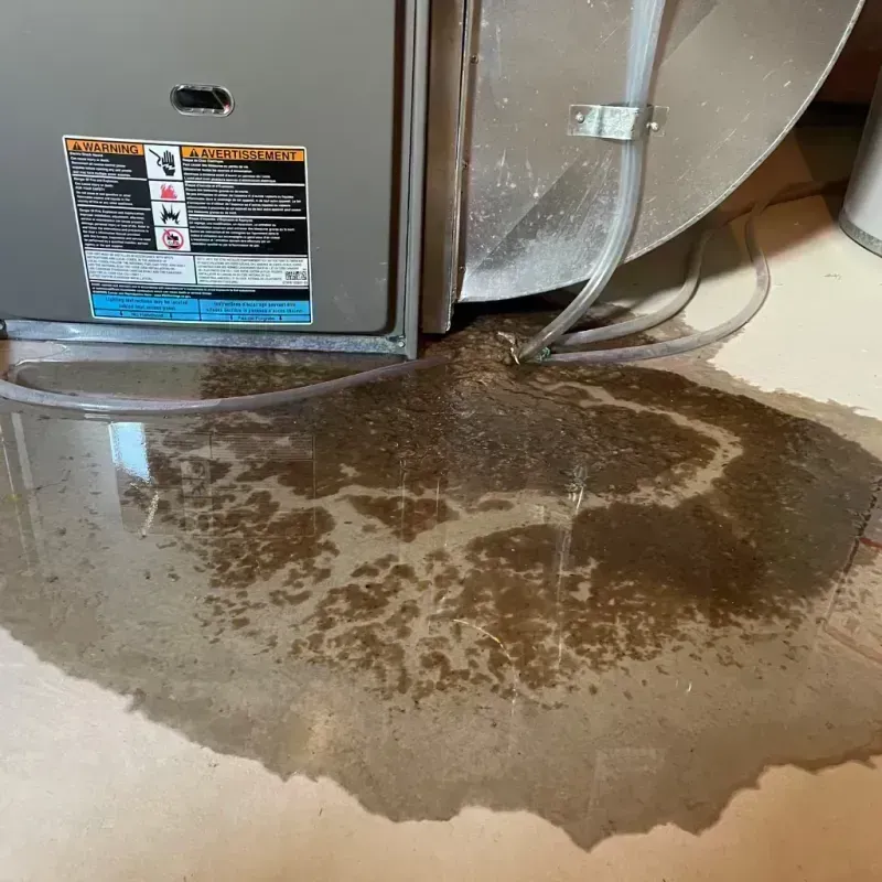 Appliance Leak Cleanup in North Decatur, GA